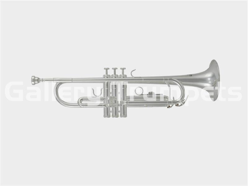 ROY BENSON TR-202S - Trompeta Bb Plateada - Imagen 1