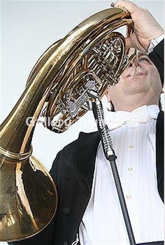 ERGObrass Soporte Trompa (Tipo A+B) - Imagen 1