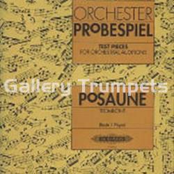 Orchester Probespiel Trombón - Imagen 1