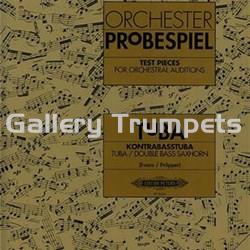 Orchester Probespiel Tuba - Imagen 1